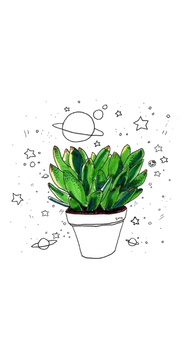 Decorative plant