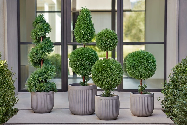 Garden Essentials